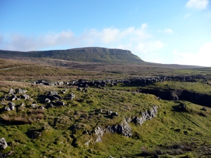Pen-y-ghent from Horton Scar Lane