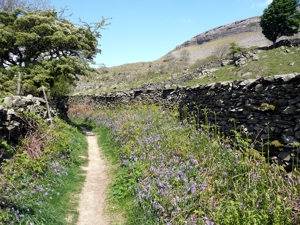 Path from Wharfe to Crummack
