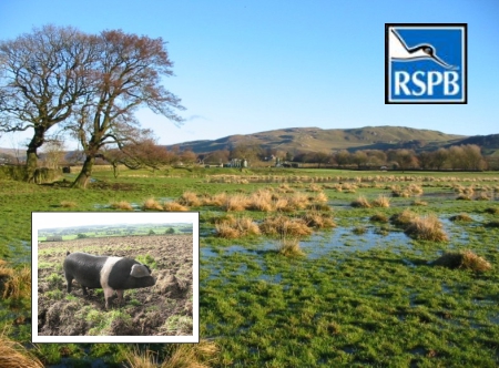 Wetlands near Long Preston